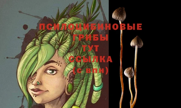 метамфетамин Осинники