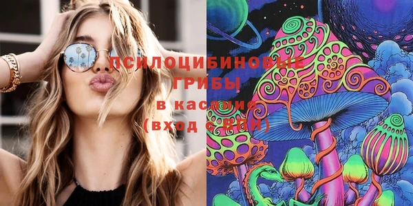 ГАЛЛЮЦИНОГЕННЫЕ ГРИБЫ Володарск