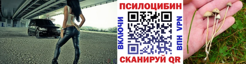 MEGA ТОР  Полтавская  Псилоцибиновые грибы Psilocybine cubensis 