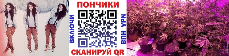 купить закладку  мега ссылка  Конопля индика  Полтавская 
